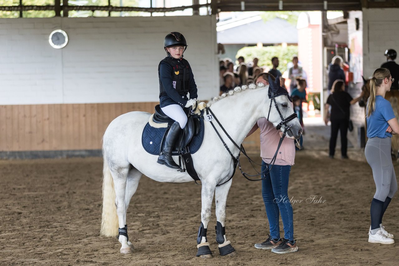 Bild 5 - Pony Akademie Turnier